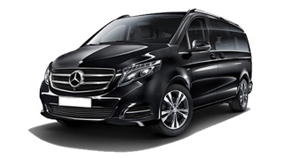 Mercedes Viano